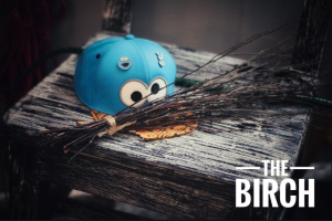 Read more about the article The Birch