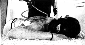 Read more about the article Mr.Ray – Stingray Tail Whip
