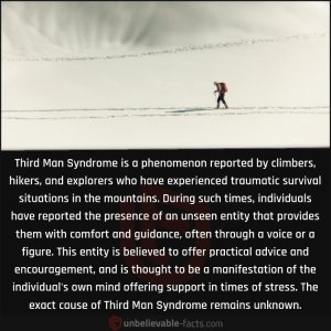 Read more about the article BDSM, Third Man Syndrome, and the Brain in Altered States