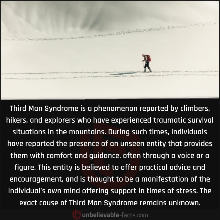 Read more about the article BDSM, Third Man Syndrome, and the Brain in Altered States